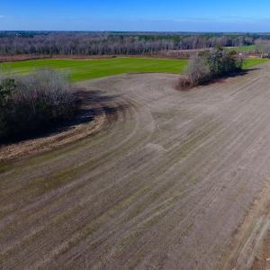 Photo of SOLD!  312 Acres of Farm and Hunting Land For Sale in Edgecombe County NC!
