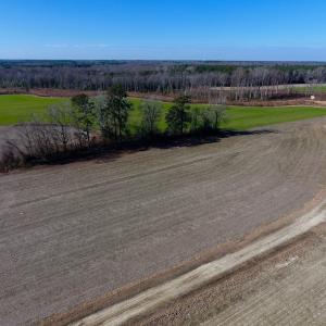 Photo of SOLD!  312 Acres of Farm and Hunting Land For Sale in Edgecombe County NC!