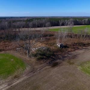 Photo of SOLD!  312 Acres of Farm and Hunting Land For Sale in Edgecombe County NC!