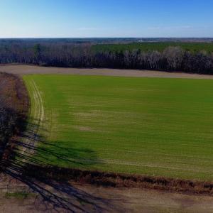 Photo of SOLD!  312 Acres of Farm and Hunting Land For Sale in Edgecombe County NC!