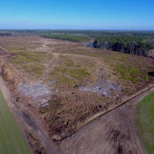Photo of SOLD!  312 Acres of Farm and Hunting Land For Sale in Edgecombe County NC!