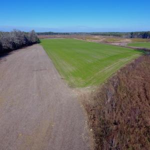 Photo of SOLD!  312 Acres of Farm and Hunting Land For Sale in Edgecombe County NC!