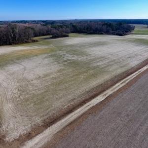 Photo of SOLD!  312 Acres of Farm and Hunting Land For Sale in Edgecombe County NC!