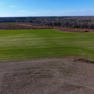 Photo of SOLD!  312 Acres of Farm and Hunting Land For Sale in Edgecombe County NC!