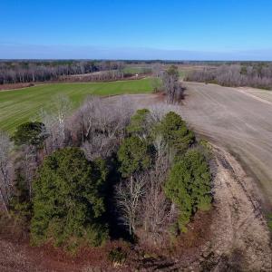 Photo of SOLD!  312 Acres of Farm and Hunting Land For Sale in Edgecombe County NC!