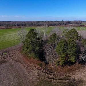 Photo of SOLD!  312 Acres of Farm and Hunting Land For Sale in Edgecombe County NC!