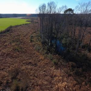 Photo of SOLD!  312 Acres of Farm and Hunting Land For Sale in Edgecombe County NC!