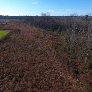 Photo of SOLD!  312 Acres of Farm and Hunting Land For Sale in Edgecombe County NC!