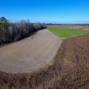 Photo of SOLD!  312 Acres of Farm and Hunting Land For Sale in Edgecombe County NC!