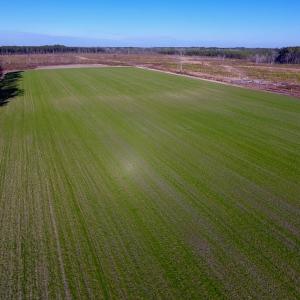 Photo of SOLD!  312 Acres of Farm and Hunting Land For Sale in Edgecombe County NC!