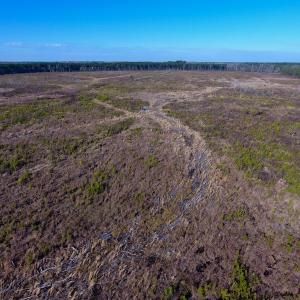 Photo of SOLD!  312 Acres of Farm and Hunting Land For Sale in Edgecombe County NC!
