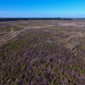 Photo of SOLD!  312 Acres of Farm and Hunting Land For Sale in Edgecombe County NC!