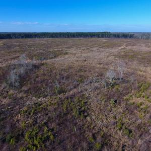 Photo of SOLD!  312 Acres of Farm and Hunting Land For Sale in Edgecombe County NC!