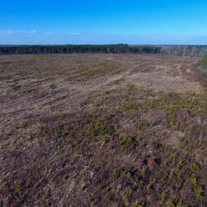 Photo of SOLD!  312 Acres of Farm and Hunting Land For Sale in Edgecombe County NC!