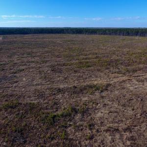 Photo of SOLD!  312 Acres of Farm and Hunting Land For Sale in Edgecombe County NC!