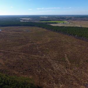 Photo of SOLD!  312 Acres of Farm and Hunting Land For Sale in Edgecombe County NC!