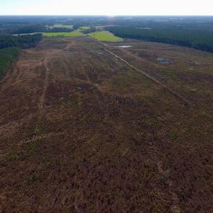 Photo of SOLD!  312 Acres of Farm and Hunting Land For Sale in Edgecombe County NC!
