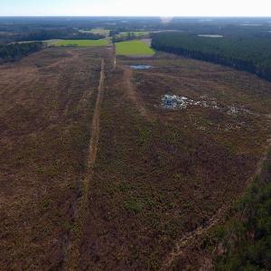 Photo of SOLD!  312 Acres of Farm and Hunting Land For Sale in Edgecombe County NC!