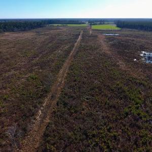 Photo of SOLD!  312 Acres of Farm and Hunting Land For Sale in Edgecombe County NC!