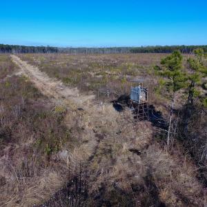 Photo of SOLD!  312 Acres of Farm and Hunting Land For Sale in Edgecombe County NC!