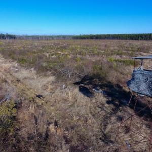 Photo of SOLD!  312 Acres of Farm and Hunting Land For Sale in Edgecombe County NC!