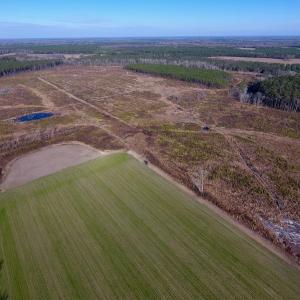 Photo of SOLD!  312 Acres of Farm and Hunting Land For Sale in Edgecombe County NC!
