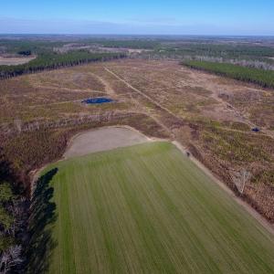 Photo of SOLD!  312 Acres of Farm and Hunting Land For Sale in Edgecombe County NC!