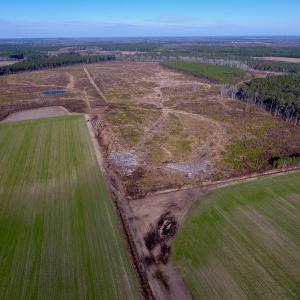 Photo of SOLD!  312 Acres of Farm and Hunting Land For Sale in Edgecombe County NC!