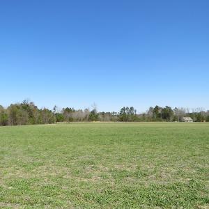Photo of SOLD!  58 Acres of Farm and Timber Land For Sale in Robeson County NC!