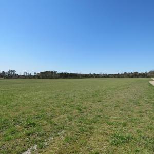 Photo of SOLD!  58 Acres of Farm and Timber Land For Sale in Robeson County NC!
