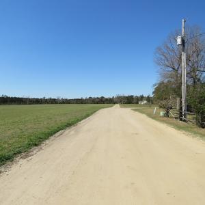 Photo of SOLD!  58 Acres of Farm and Timber Land For Sale in Robeson County NC!