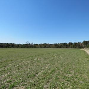 Photo of SOLD!  58 Acres of Farm and Timber Land For Sale in Robeson County NC!