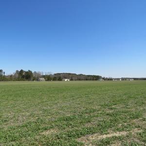 Photo of SOLD!  58 Acres of Farm and Timber Land For Sale in Robeson County NC!