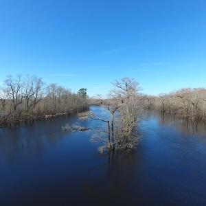 Photo of UNDER CONTRACT!  7 Acres of Riverfront Timber and Hunting Land For Sale in Pender County NC!