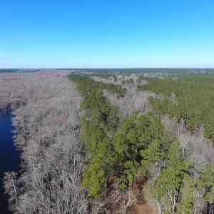 Photo of UNDER CONTRACT!  7 Acres of Riverfront Timber and Hunting Land For Sale in Pender County NC!