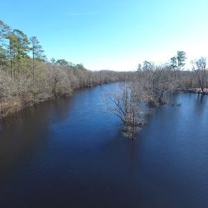 Photo of UNDER CONTRACT!  7 Acres of Riverfront Timber and Hunting Land For Sale in Pender County NC!