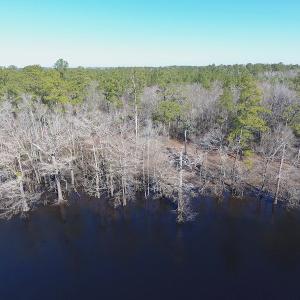Photo of UNDER CONTRACT!  7 Acres of Riverfront Timber and Hunting Land For Sale in Pender County NC!