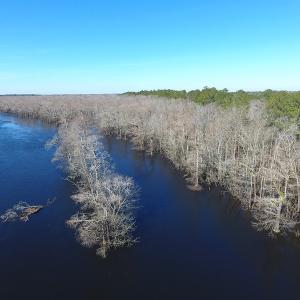 Photo of UNDER CONTRACT!  7 Acres of Riverfront Timber and Hunting Land For Sale in Pender County NC!