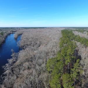Photo of UNDER CONTRACT!  7 Acres of Riverfront Timber and Hunting Land For Sale in Pender County NC!