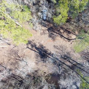 Photo of UNDER CONTRACT!  7 Acres of Riverfront Timber and Hunting Land For Sale in Pender County NC!