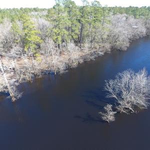 Photo of UNDER CONTRACT!  7 Acres of Riverfront Timber and Hunting Land For Sale in Pender County NC!