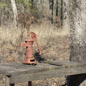 Photo of UNDER CONTRACT!  7 Acres of Riverfront Timber and Hunting Land For Sale in Pender County NC!