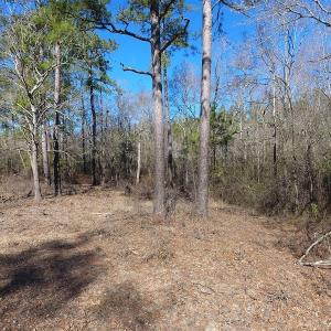 Photo of UNDER CONTRACT!  7 Acres of Riverfront Timber and Hunting Land For Sale in Pender County NC!
