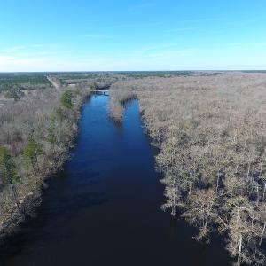 Photo of UNDER CONTRACT!  7 Acres of Riverfront Timber and Hunting Land For Sale in Pender County NC!