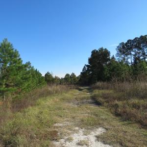 Photo of UNDER CONTRACT!  46 Acres of Recreational Land For Sale in Robeson County NC!