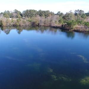 Photo of UNDER CONTRACT!  46 Acres of Recreational Land For Sale in Robeson County NC!