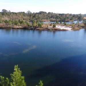 Photo of UNDER CONTRACT!  46 Acres of Recreational Land For Sale in Robeson County NC!