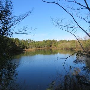 Photo of UNDER CONTRACT!  46 Acres of Recreational Land For Sale in Robeson County NC!