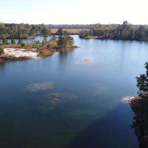 Photo of UNDER CONTRACT!  46 Acres of Recreational Land For Sale in Robeson County NC!