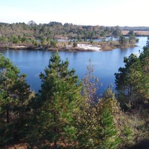 Photo of UNDER CONTRACT!  46 Acres of Recreational Land For Sale in Robeson County NC!